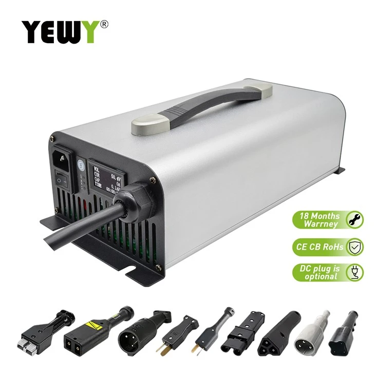 Charger ceallraí 24V 55A